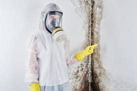 Mold Removal for HVAC Installations in Brockport, NY